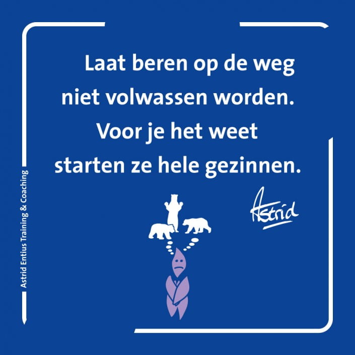 inzicht houvast Entius beren op de weg .jpg