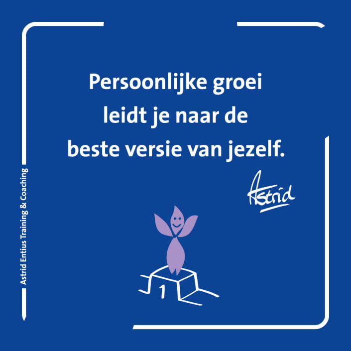 Astrid Entius Training Coaching inzicht houvast meesterwerk