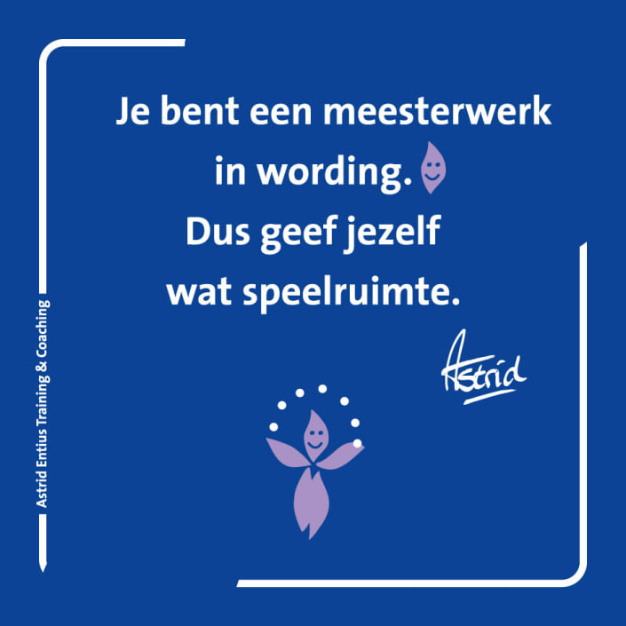 Astrid Entius Training Coaching inzicht houvast meesterwerk