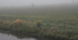 herhaling Astrid Entius Training & Coaching gratis tips