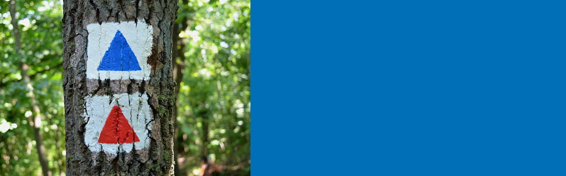 astridentius.nl nlp 1 op 1 training en coaching