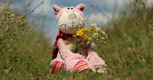 astrid entius geluk training en coaching