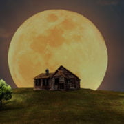 astrid entius training coaching systeem waar