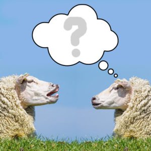 miscommunicatie communicatie NLP Astrid Entius